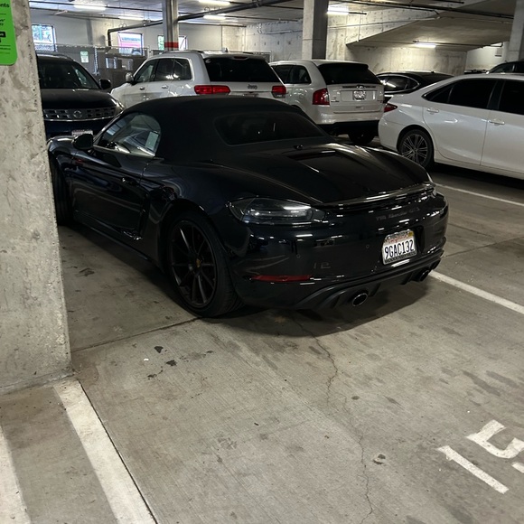 Meet your Posher, Mckay - Picture 3 of 3